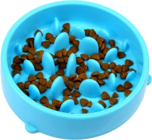 H&S Slow Feeder Dog Bowl