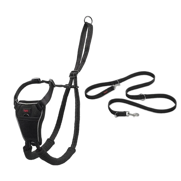 Halti Cockapoo Harness Review