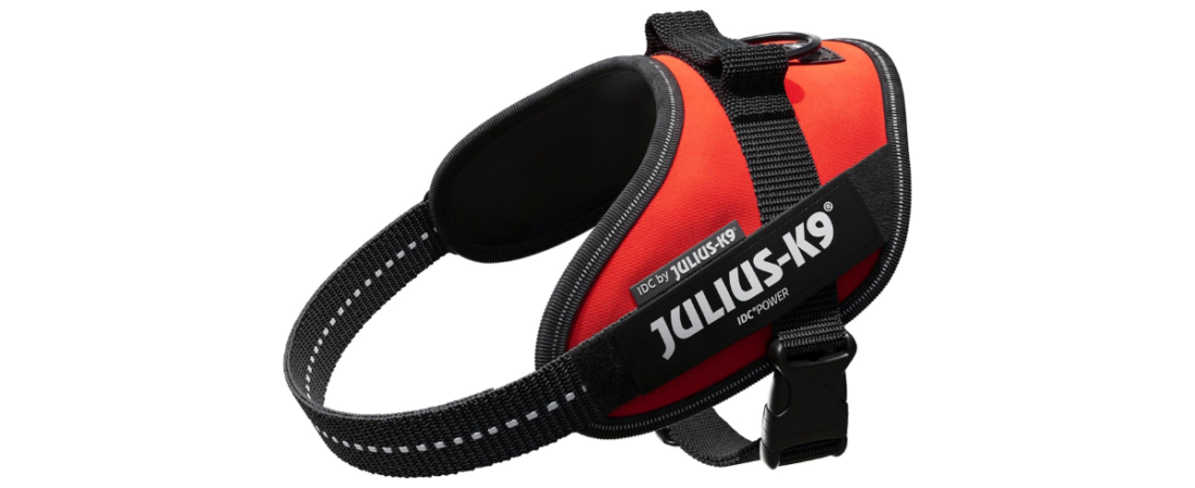 The Ultimate Guide to Choosing the Best Cockapoo Harness: Is the Julius-K9 16IDC Powerharness the Right Choice?