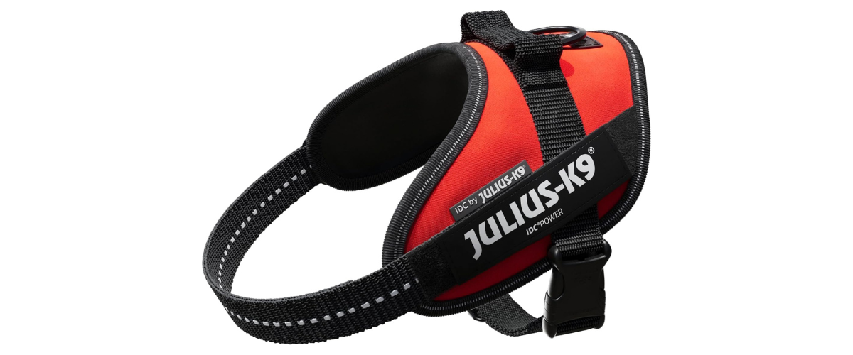 The Ultimate Guide to Choosing the Best Cockapoo Harness: Is the Julius-K9 16IDC Powerharness the Right Choice?