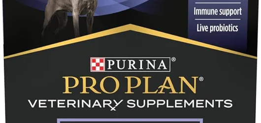 The Best Dog Supplements of 2025 Compared: Purina Pro Plan Calming Care vs. FortiFlora