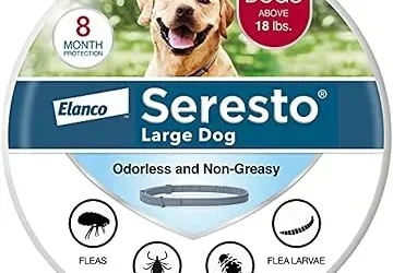 Is the Seresto Dog Flea Collar Still the Best Choice in 2025? A Vet-Recommended Review