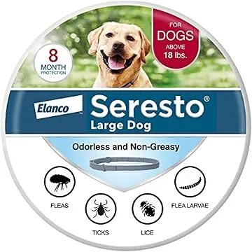 Is the Seresto Dog Flea Collar Still the Best Choice in 2025? A Vet-Recommended Review